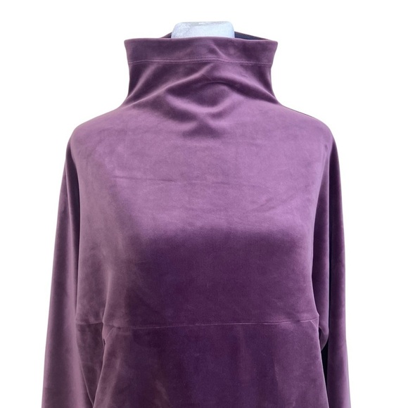 PrAna Phoenix Velour Top Funnel Neck in Raisin Soft Cozy Athleisure Yoga Sz S - Picture 4 of 16